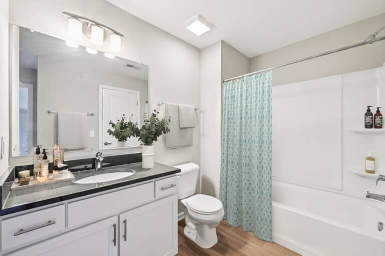 District-at-Linworth-Apartments-Unit-bath1